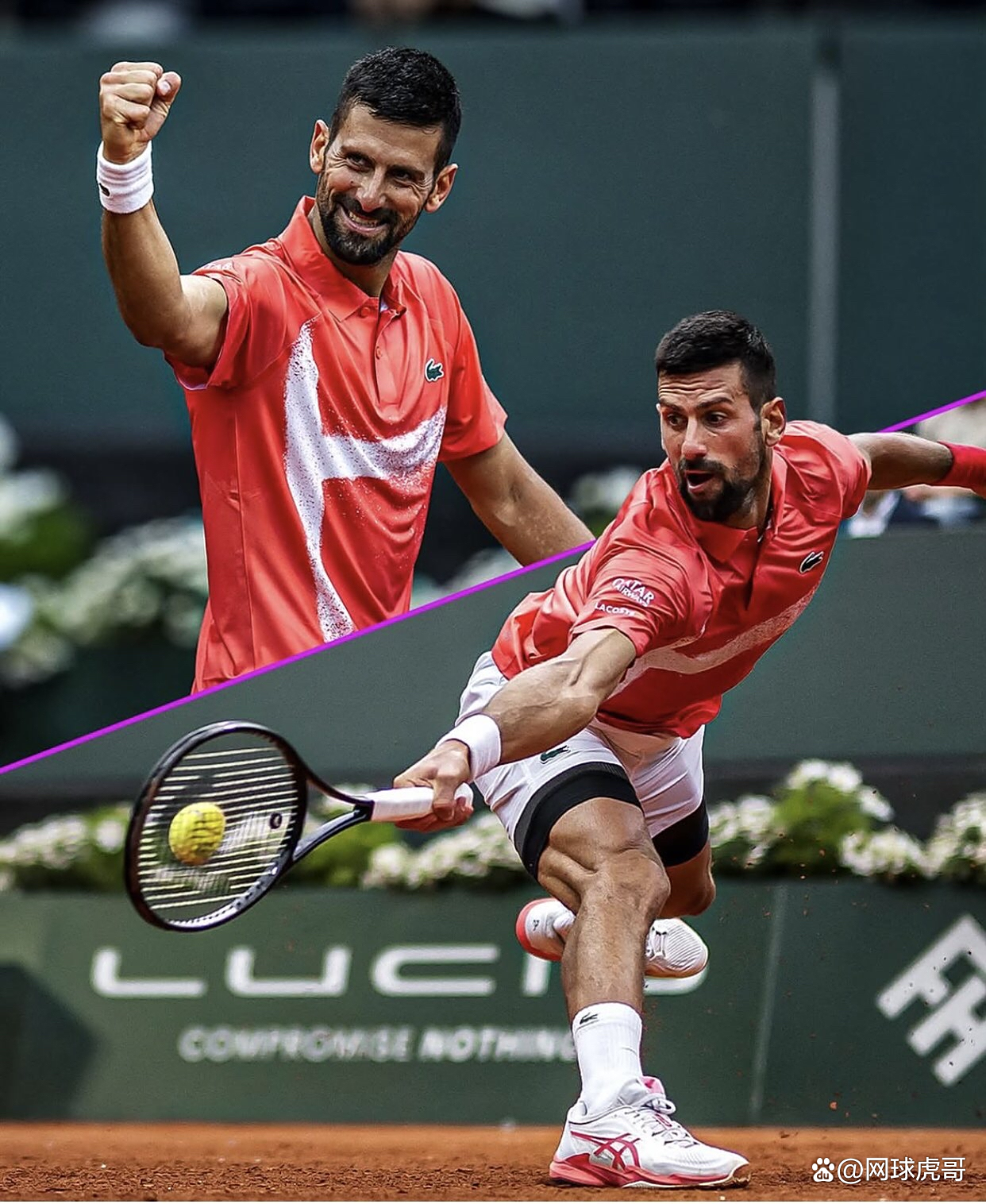 德约科维奇在IG比赛中夺冠,夺冠引发热议!的简单介绍 德约科维奇在IG比赛中夺冠,夺冠引发热议!的简单介绍